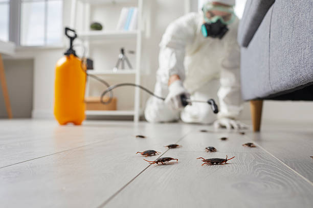 Commercial Kitchen Cockroach Control in Norman Park